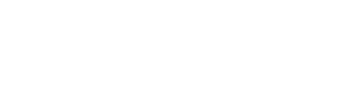 Memtech Brush